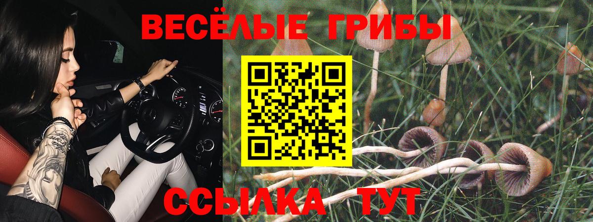 Псилоцибиновые грибы Psilocybine cubensis  Вход с VPN  наркотики  Новошахтинск 