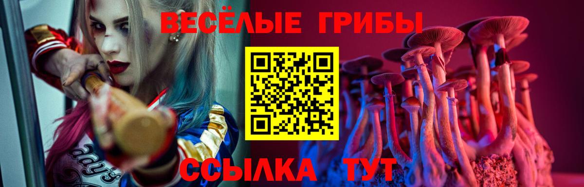 Галлюциногенные грибы MAGIC MUSHROOMS Новошахтинск